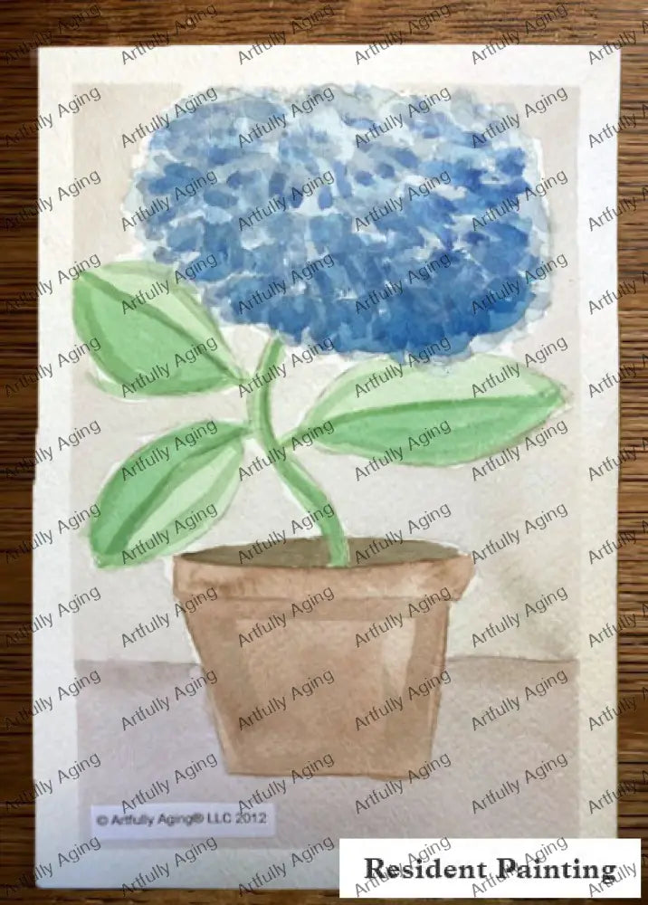 Hydrangea