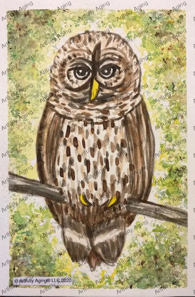 Owl on Branch