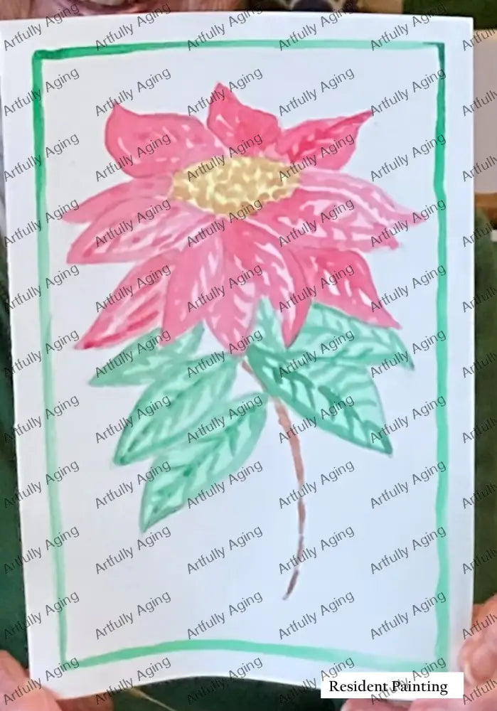 Poinsettia