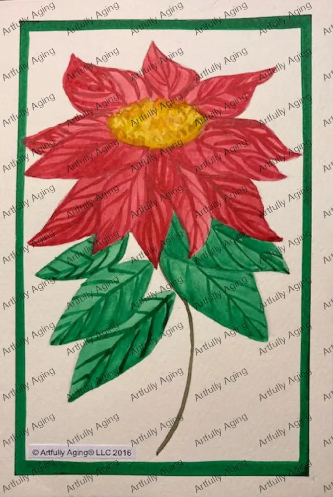 Poinsettia