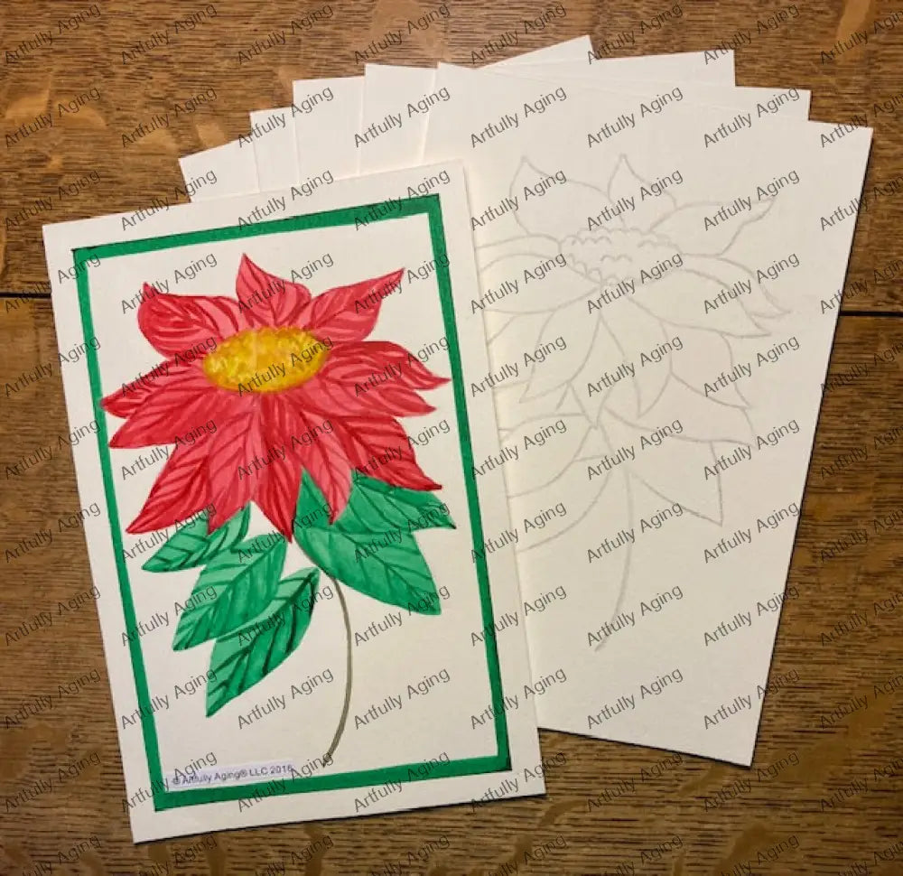 Poinsettia