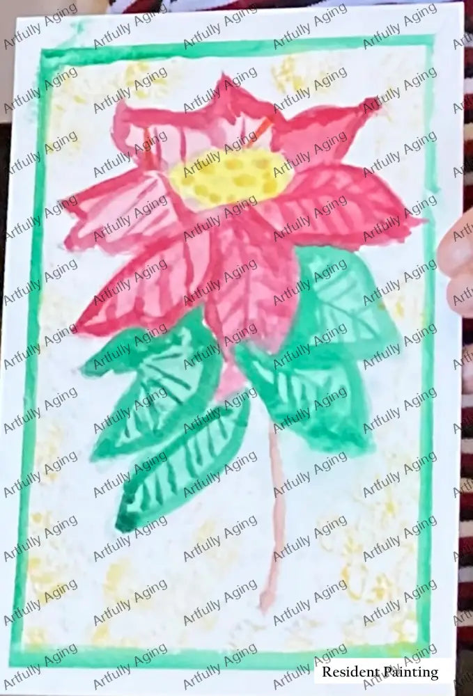 Poinsettia